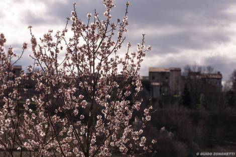 WEB_SERRASANTABBONDIO