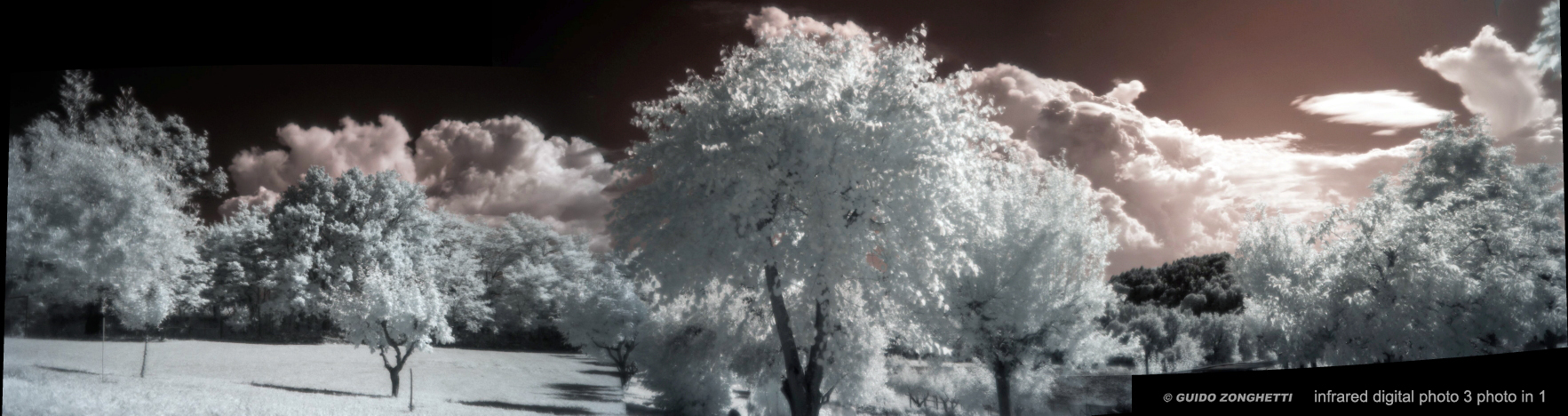 Panorama infrared
