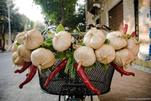 GARLIC