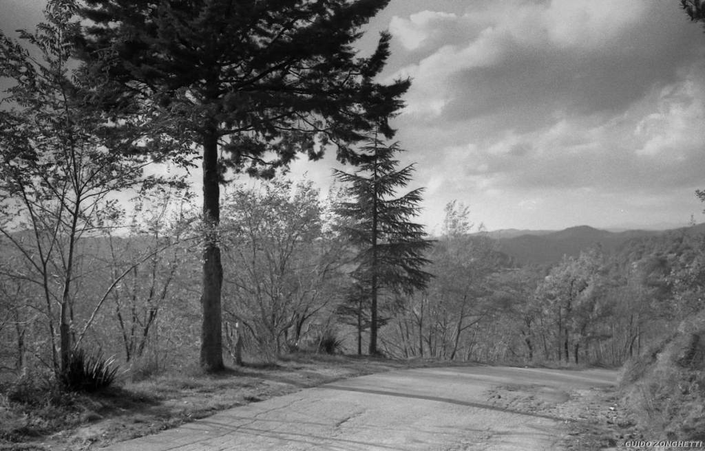 QUEL RISTORANTE IN CIMA AL&nbsp;MONTE