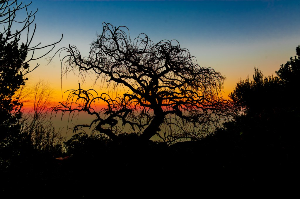 Tribute to Caspar David&nbsp;Friedrich