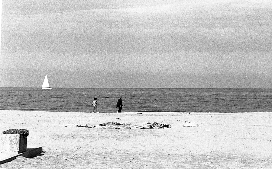 1: F1 NEW +&nbsp;CINQUANTINO