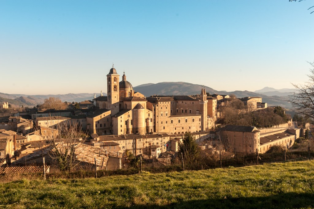 URBINO DY DAY