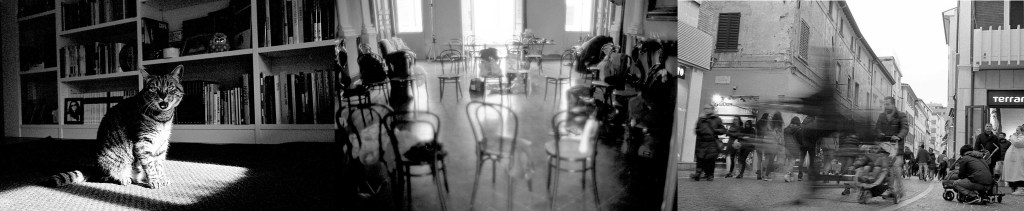 GATTINI SEDIE PERSONE A&nbsp;CASO