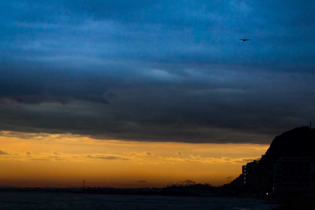 SECONDO ESERCIZIO DI ANALISI SOCIALE: ALLEGORIA DELL’ETERNO RISVEGLIO