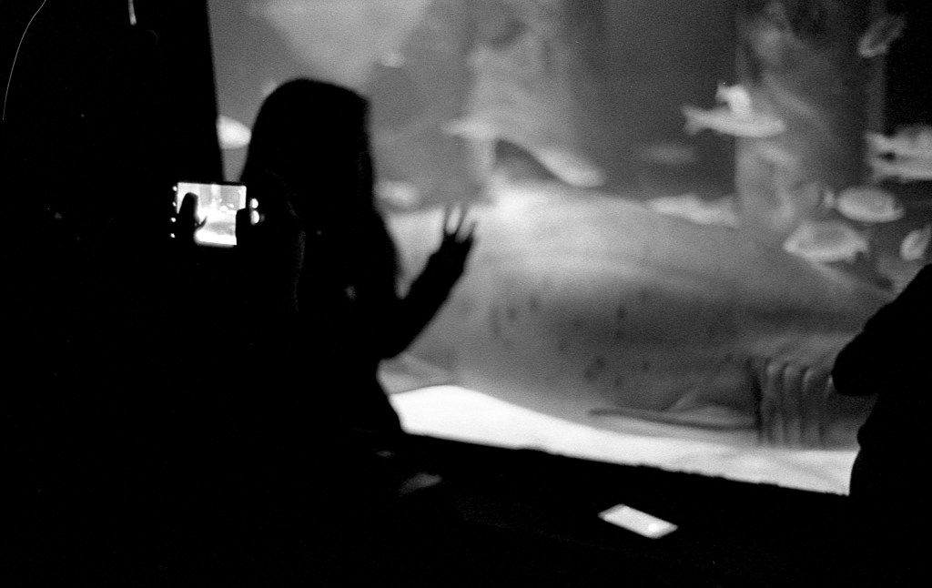 365, una al giorno – FOTO&nbsp;36