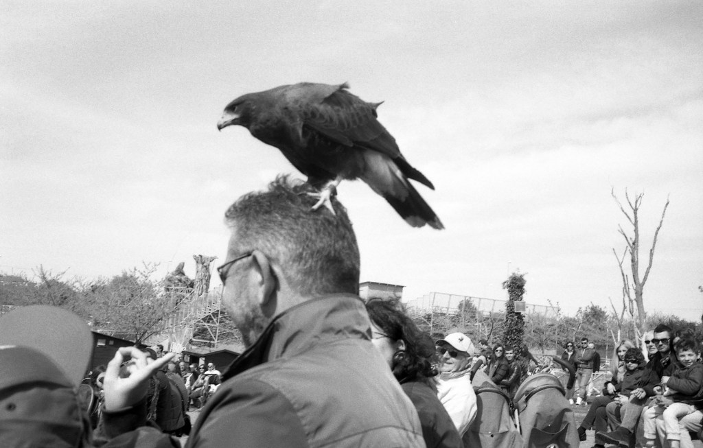 365, una al giorno – FOTO&nbsp;78