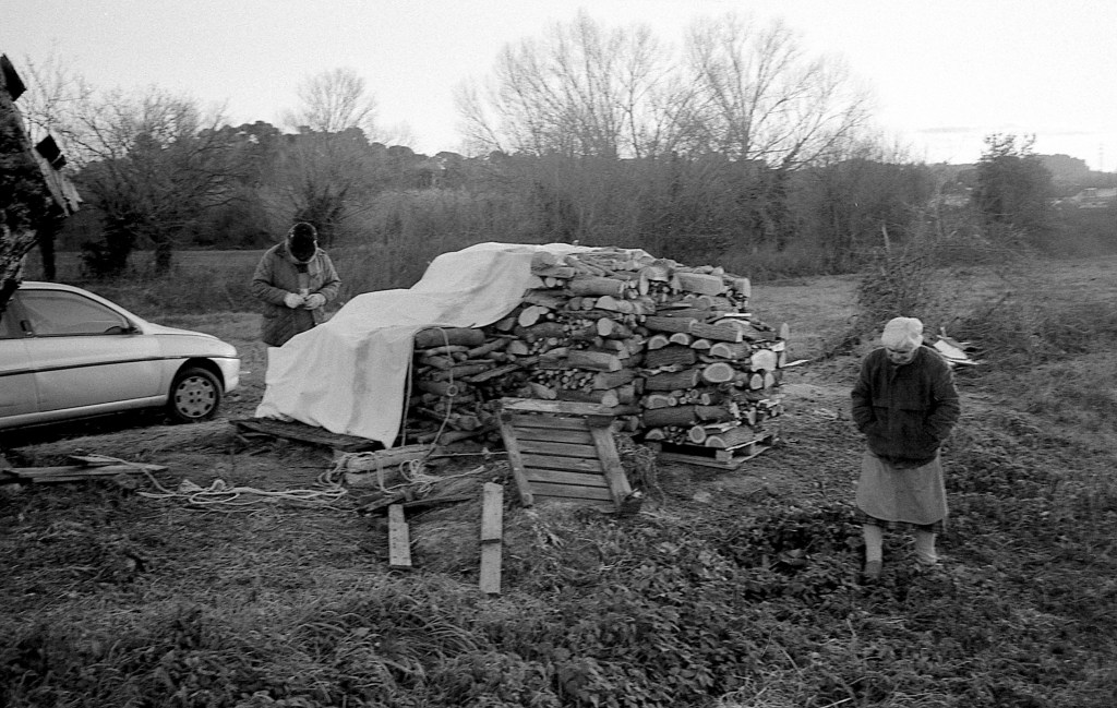 365, una al giorno – FOTO&nbsp;126