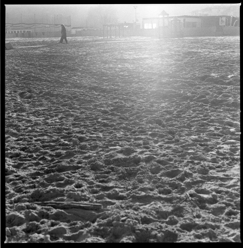 365, una al giorno – FOTO&nbsp;170