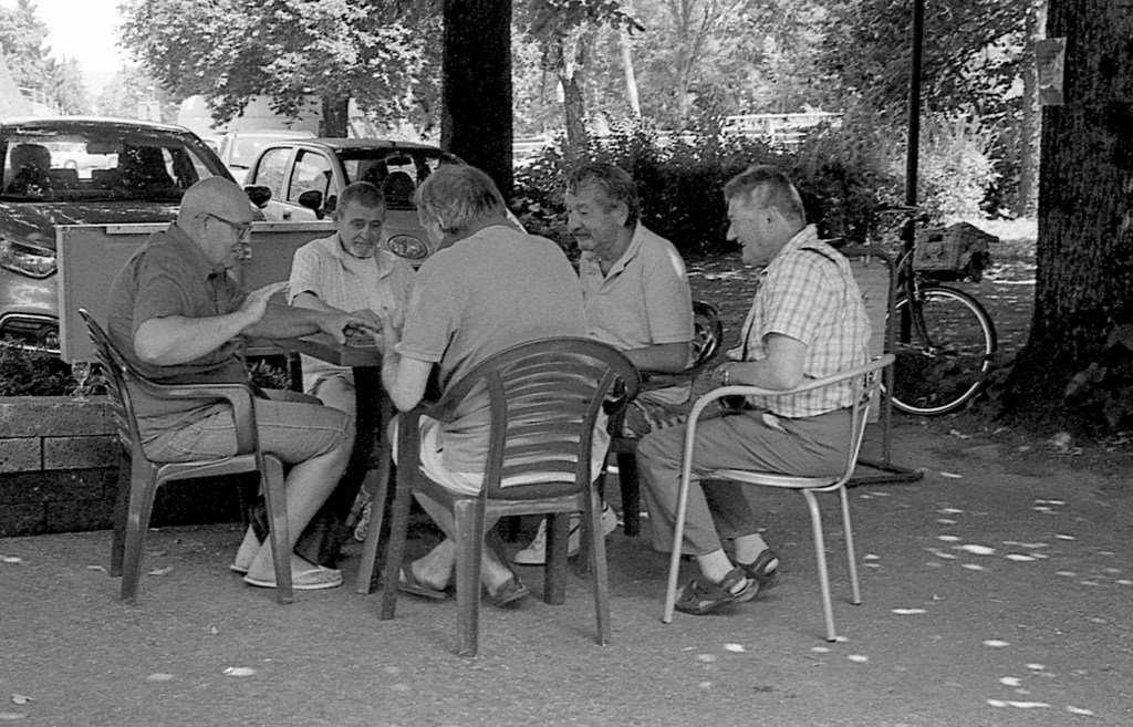 365, una al giorno – FOTO&nbsp;218