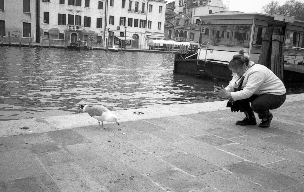 365, una al giorno – FOTO&nbsp;274