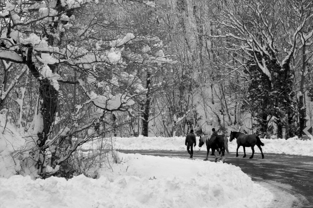 365, una al giorno – FOTO&nbsp;333