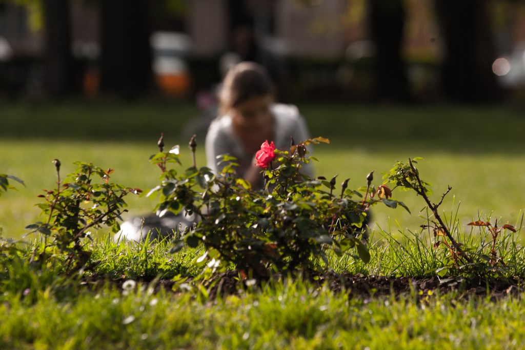 365, la giostra dei colori – COLORE&nbsp;67