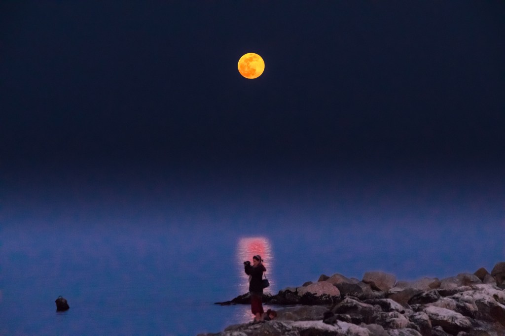 365, la giostra dei colori – COLORE&nbsp;121