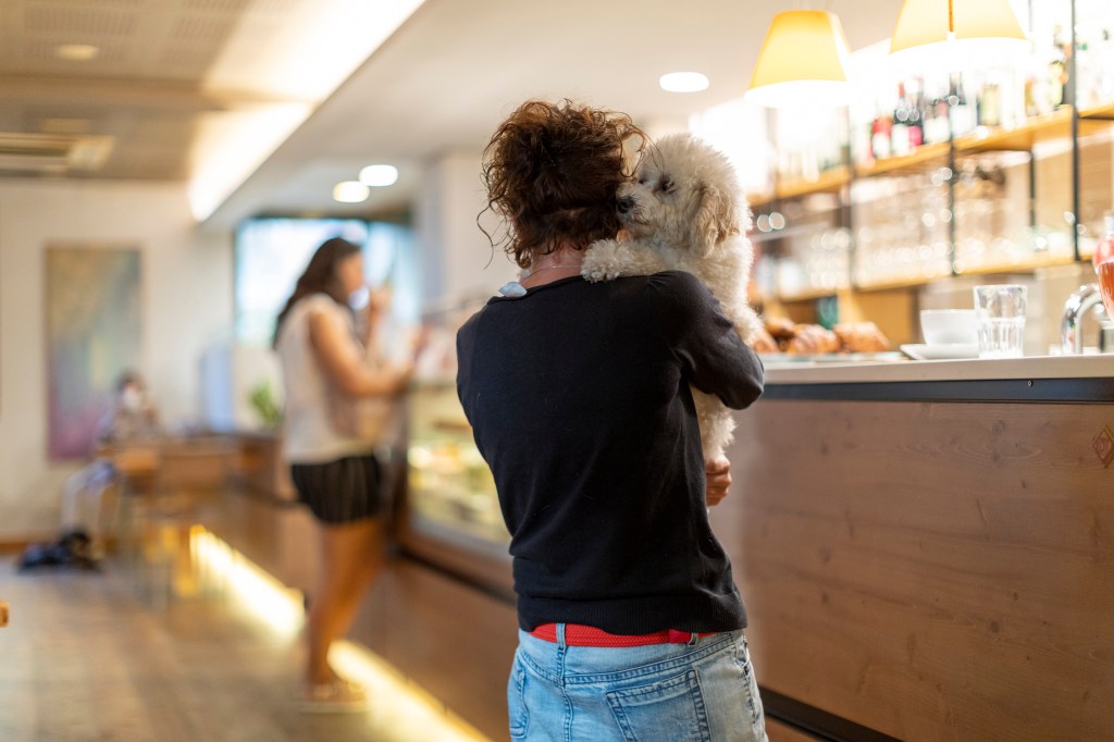 365, la giostra dei colori – COLORE&nbsp;263