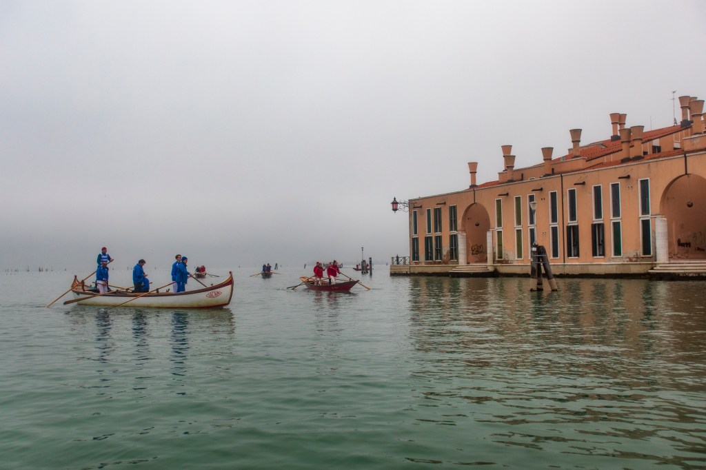 365, LA GIOSTRA DEI COLORI – COLORE&nbsp;363