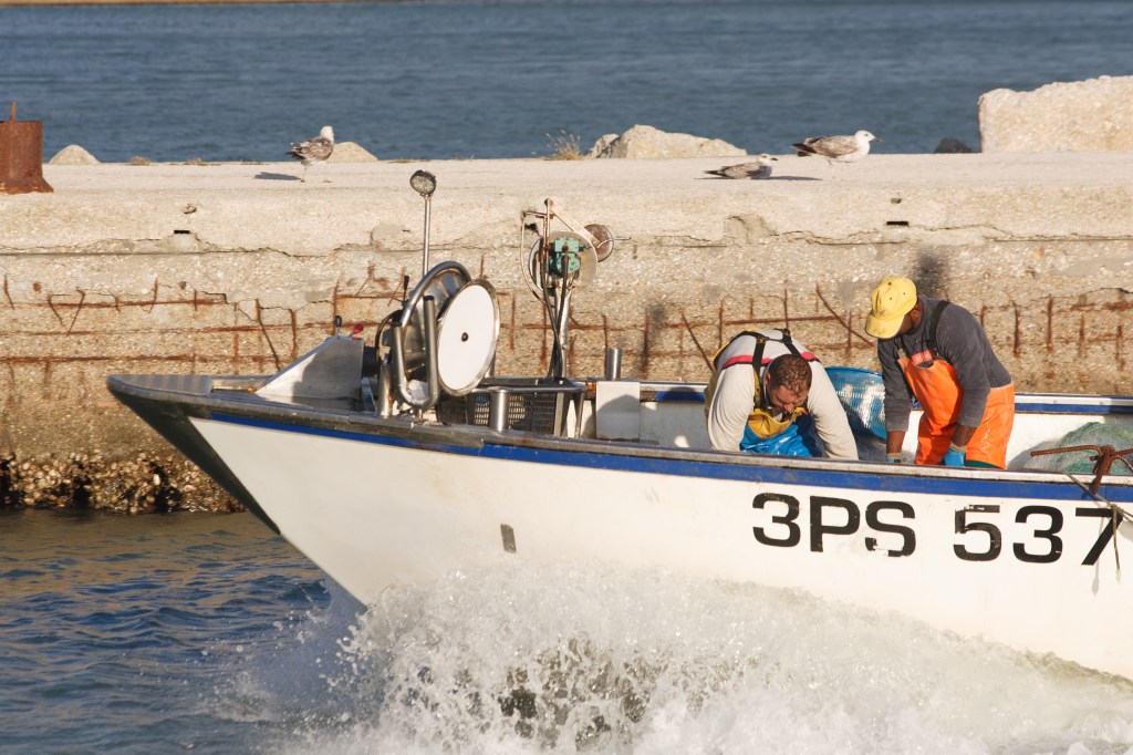 365 FOTORACCONTI: 45– CORAGGIO