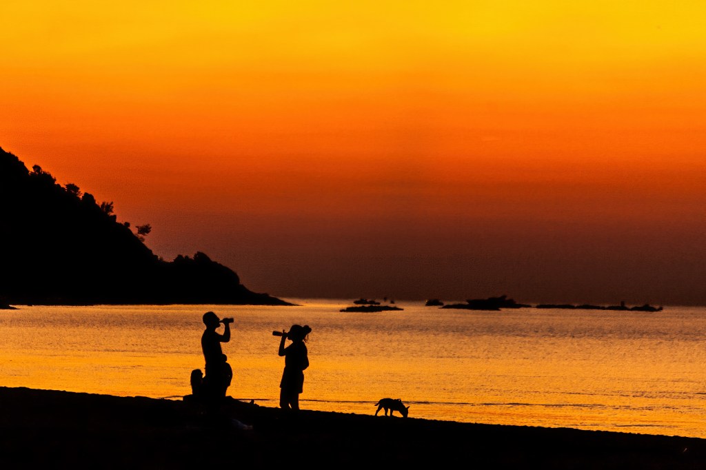 365 FOTORACCONTI: 69-SIMBIOSI