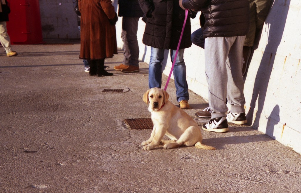 365 FOTORACCONTI: 82-FEDELTA’