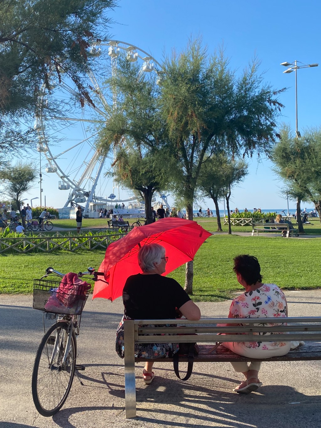 365 FOTORACCONTI: 102-SOLLIEVO